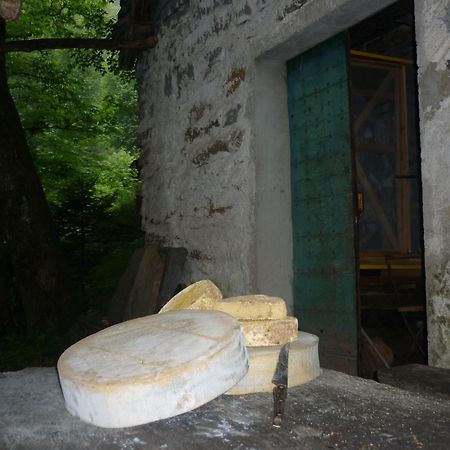Da Erminia Bed & Breakfast Verdabbio Екстериор снимка