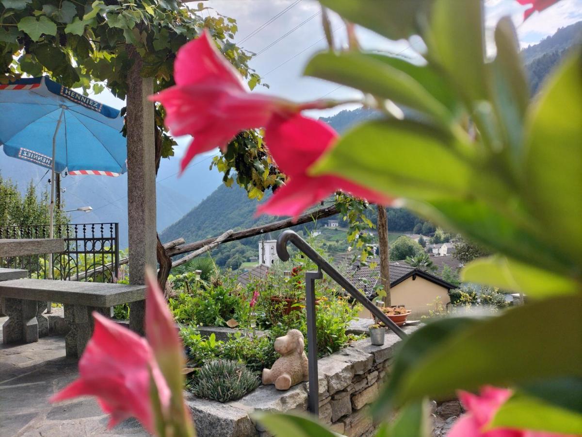Da Erminia Bed & Breakfast Verdabbio Екстериор снимка