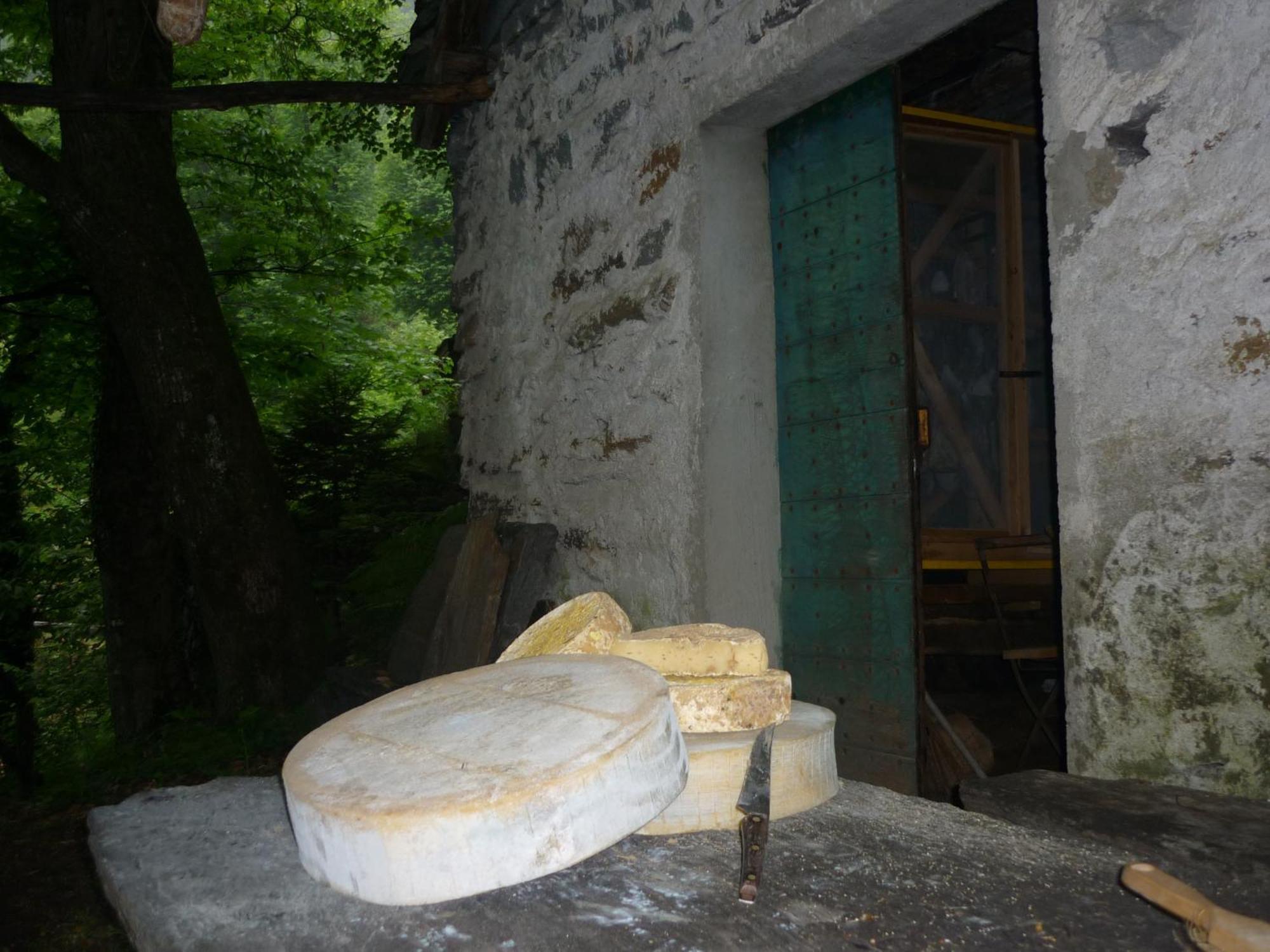 Da Erminia Bed & Breakfast Verdabbio Екстериор снимка